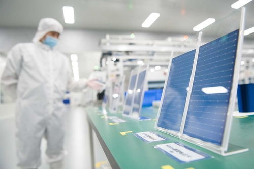 中国经济样本观察 企业样本篇 追光逐新 光伏独角兽华晟新能源的成长故事