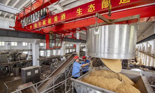 云门酒业荣获潍坊市 2025年市级绿色工厂